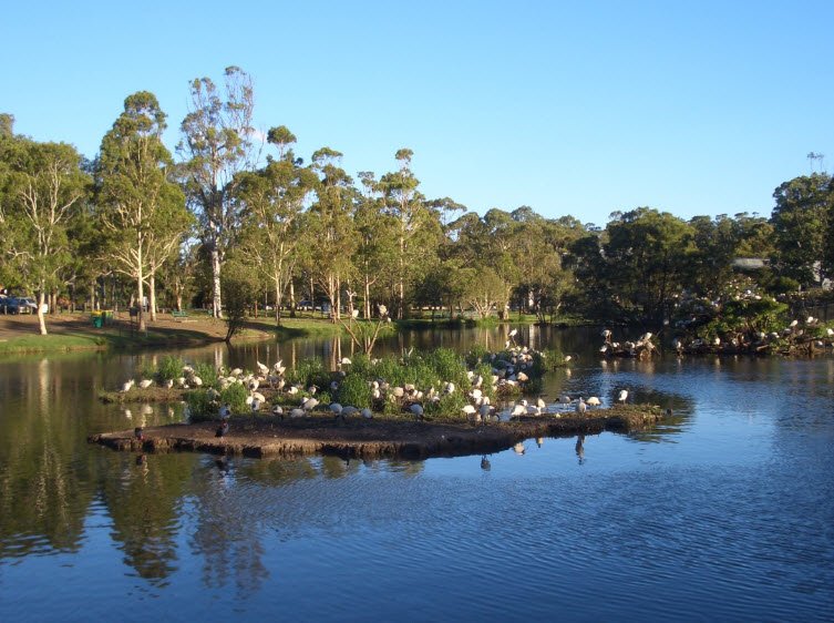 Sylvan Grove Native Garden, Picnic Point, Australia, Australia